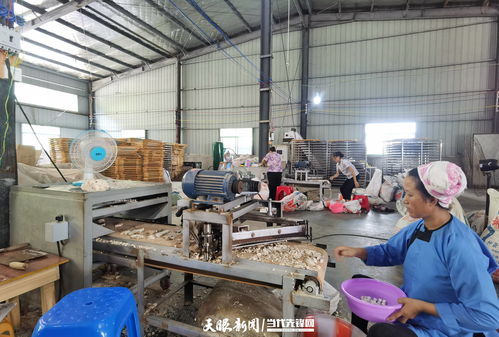 黎平 就業(yè)崗位送到家 扶貧車(chē)間 變 致富工廠