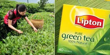 中國(guó)茶葉產(chǎn)業(yè)集群品牌聯(lián)盟問世 能為行業(yè)帶來什么